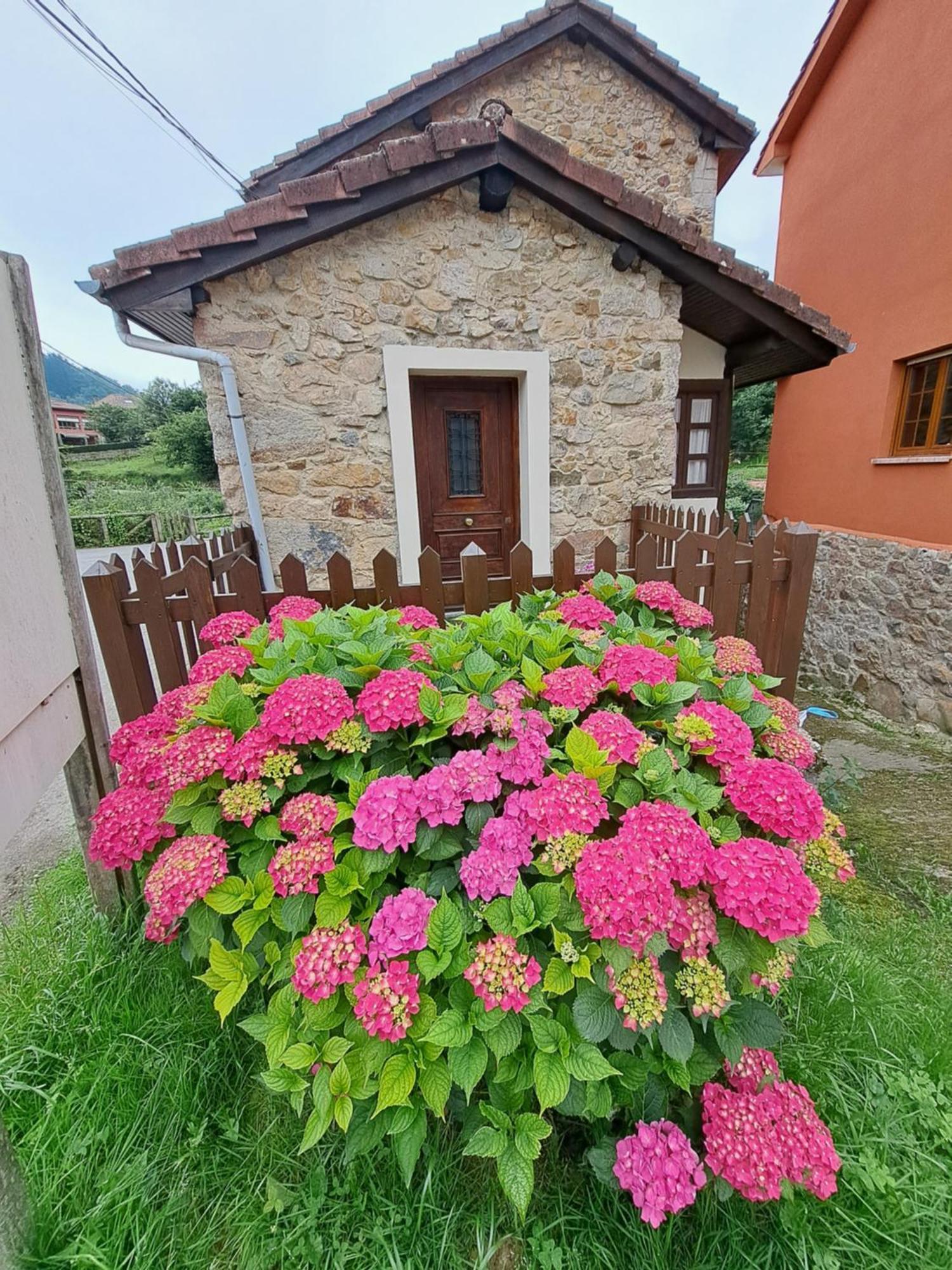 Casa Rural El Puente De Agues Soto De Agues Exteriér fotografie